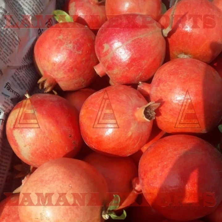 India Pomegranate Fruits for Thailand Malaysia Singapore Vietnam 2020 CROP