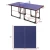 Import Indoor Childrens Table Tennis Table from China