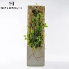 Indoor ornamental best trailing artificial ivy plants