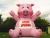 Import inflatable pig balloon, outdoor advertising inflatables S2005 from China