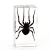 Import Insects in Resin Real Spider Specimen for Paperweight resins animal sepcimen crafts arts educational material for kids from China