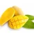 Import IQF frozen mango dice wholesaler from India from India