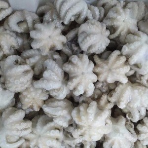 IQF High quality whole round frozen baby octopus