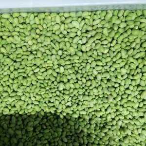 IQF Organic Peas in Fresh Condition