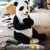 Import KAWAH Cute Realistic Animatronic life size panda statue for park from China