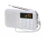 Import L-218 FM radio portable mp3 player, usb mp3 player with speaker from China
