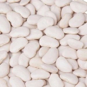 Large Lima Beans