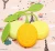Import Lemon Style Cute Tea Filter Bag Strainer Teacup Teapot Infuser Teabag Silicone from China