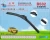 Import Lining stainless steel sleeve soft wiper blade assuring you streak-free windshield from China