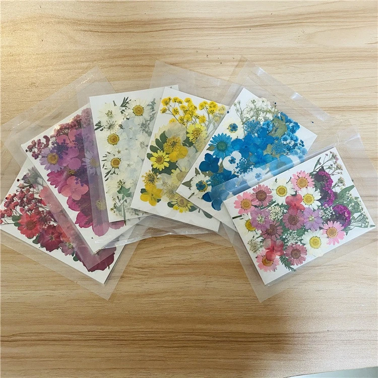 M-1418 High Quality Petals Makeup Cheap  Real Natural Dried Pressed Flowers