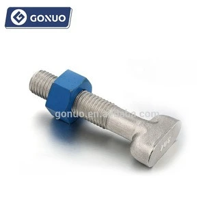 Made in China Stainless Steel T Bolt / T Head Bolt / T Shape Bolt and Nut