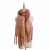 Import Manufactured Directly New Fashionable Female Warm Hairy Scarf Shawl with Fringes from China