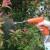 Manufacturer Atomized Electric Spray Gun Household Fluid Sprayer Gun
