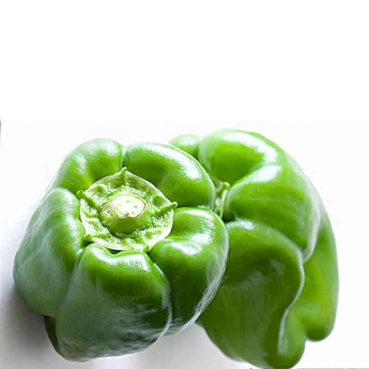 manufacturer of fresh bell peppers