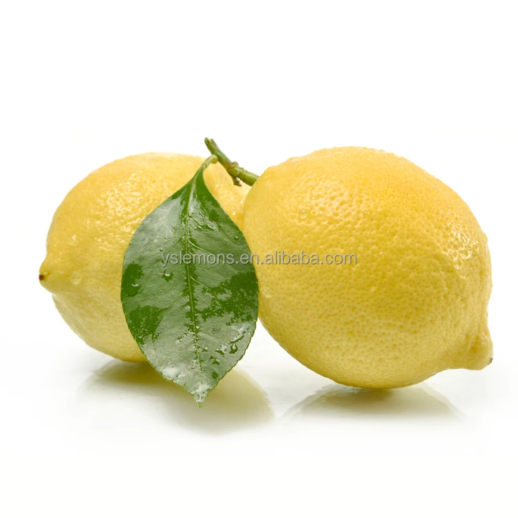 Montale Fresh Fruit Importers Fresh Citrus Fruit Yellow Lemons