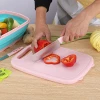 Multifunctional Foldable Chopping Board Plastic