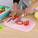 Multifunctional Foldable Chopping Board Plastic