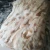 Import Natural color Patchwork Belly Rabbit Fur Plate Blanket  rex rabbit fur blanket plush rabbit blanket from China
