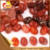 Natural Gemstone Jewelry Cabochon Beads Oval Red Agate Stone Carnelian
