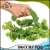 Import NBRSC Salad Vegetable Lettuce Slicer Cutter Chopper Shredder Blade Chop Kitchen Tool from China