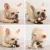 Import New arrival product puppy dog interactive and chew chicken leg toy with high quality from China