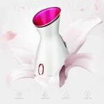 New Arrivals Personal DIY Facial Sauna Moisturizer Sprayer Nano Ionic Beauty Facial Steamer