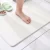 Import New Bathroom Fashion Japanese Diatomite Absorbent Bath Mat from China