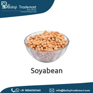 New Crop Bulk Sale Organic Soybean Seed at Market Leading Price