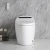 Import New design Automatic Operation Intelligent tankless Toilet One Piece Siphon Jet Flushing Smart Toilet from China