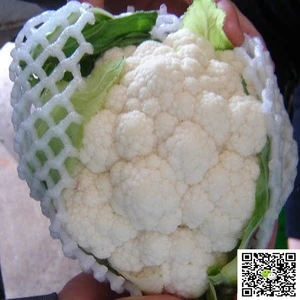 New harvested Chinese fresh cauliflower / frozen cauliflower