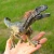 Import New Kids Dinosaurs Toys Movable Jaw Big Size Prehistoric Animal Toy for Baby Children from China
