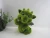 Import New product China factory animal statue tortoise garden ornament from China