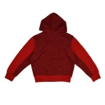 New spring Design high quality cut and sew fashion premium blocked hoodie with zip for Children