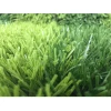 Newest Futsal Turf Artificial Grass
