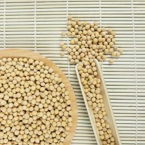 Non GMO Soybeans High Nutrition Yellow SoyBeans