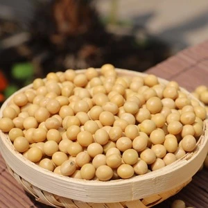 NON-GMO yellow Soybean / soya bean for oil/tofu/animal feeds