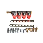 OEM CNG sequential injection systems 4 cylinder engine common fuel gas injector rail