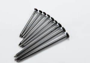 OEM ODM India Smooth and Spiral Coil Nails Iron Wood Steel Roofing Nails Flat Head Style GB Standard Frame Nails