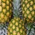 Import Orchard Direct Sale Large Raw Sweet And Sour Fresh Pineapple from China