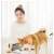 Import Original Xiaomi Mijia Kitten Puppy Pet Water Dispenser For Dog And Cat Clear Water White Color Small Pet Water Dispenser from China