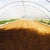 Import Other greenhouse cold frame green house hydroponic agricultural greenhouse / invernaderos from China