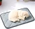 Import pet beds &amp; accessories produto petshop pet car seat /pet cushion from China