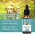 Import Pet Calming Drops Omega 3 6 9 Vitamin E Anxiety Joint 1500mg 100% Organic Natural Dogs Cats Pet Hemp CBD Oil from China