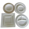 Platos Desechables Biodegradables 100% Can Syrup Bagasse Dinnerware sets
