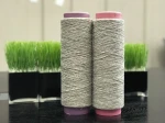 Polyamide  Nylon 6 DTY FDY 40D/36F Filament Yarn For Knitting & Stocking