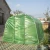 Import Polytunnel walk in greenhouse with UV protective polythene cover all sizes for worldwide markets on sale from China