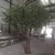 Popular Fake Tree Artificial Large Weeping Willow Tree for Decoration