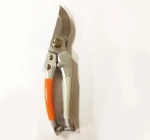 Popular small pruning shear