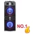 Import portable wireless speaker double 10inch  rechargeable battery trolley speaker from China