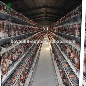 Poultry chicken layer cage/animal cage/large chicken cage